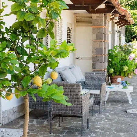 Rossella Вилла *