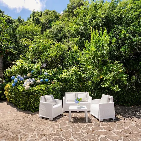 Rossella Вилла *