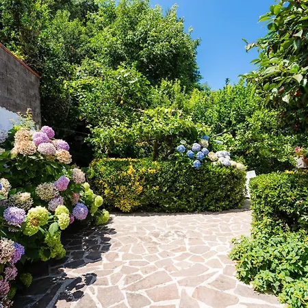 Rossella Sorrento